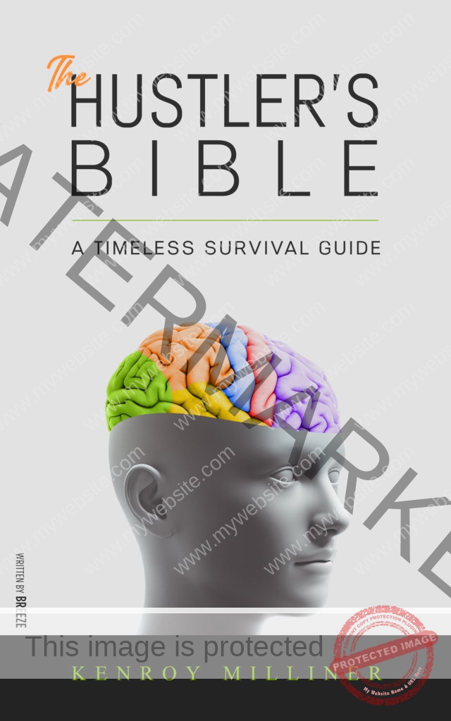 The Hustler's Bible Ebook Cover